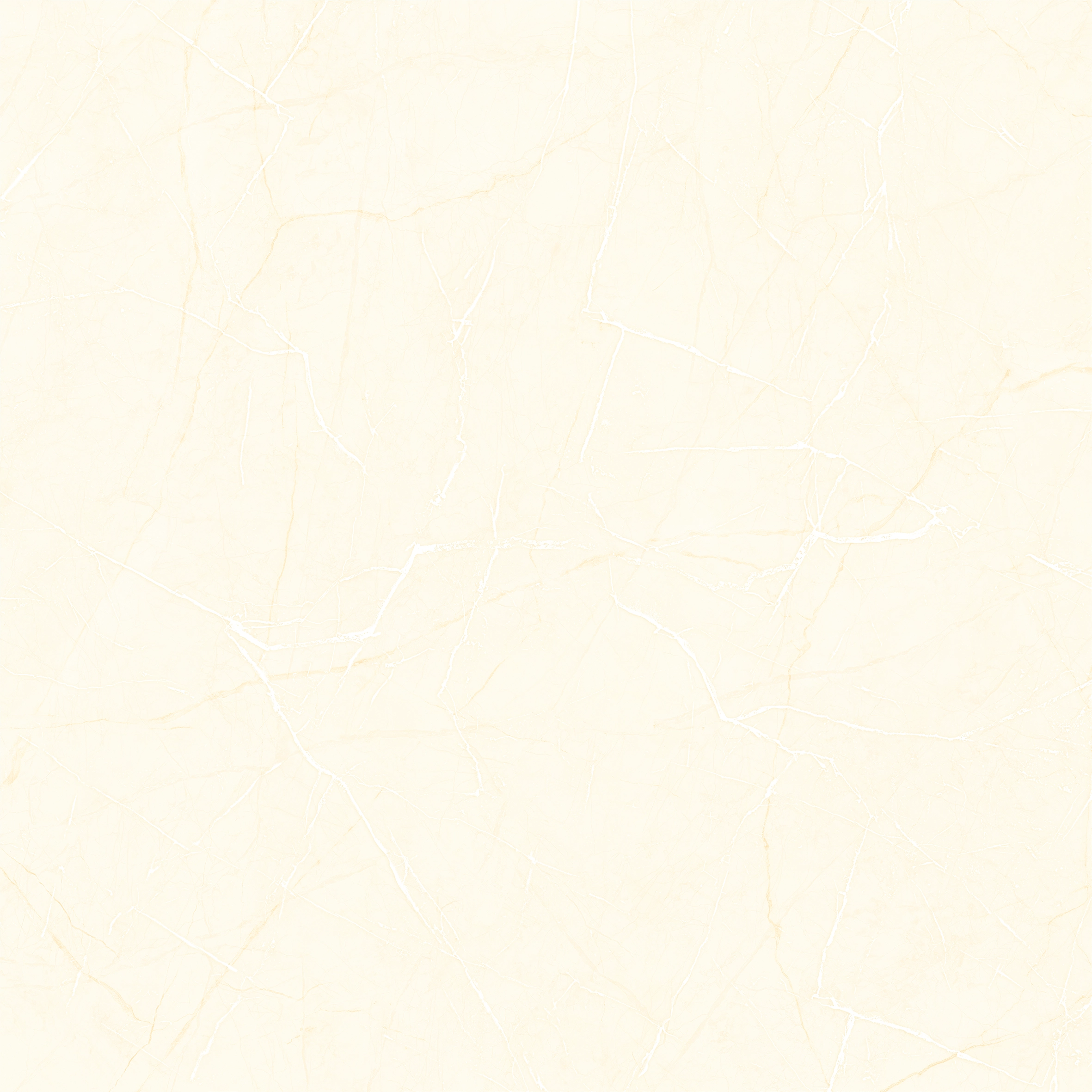 Gạch lát Porcelain CZ6601