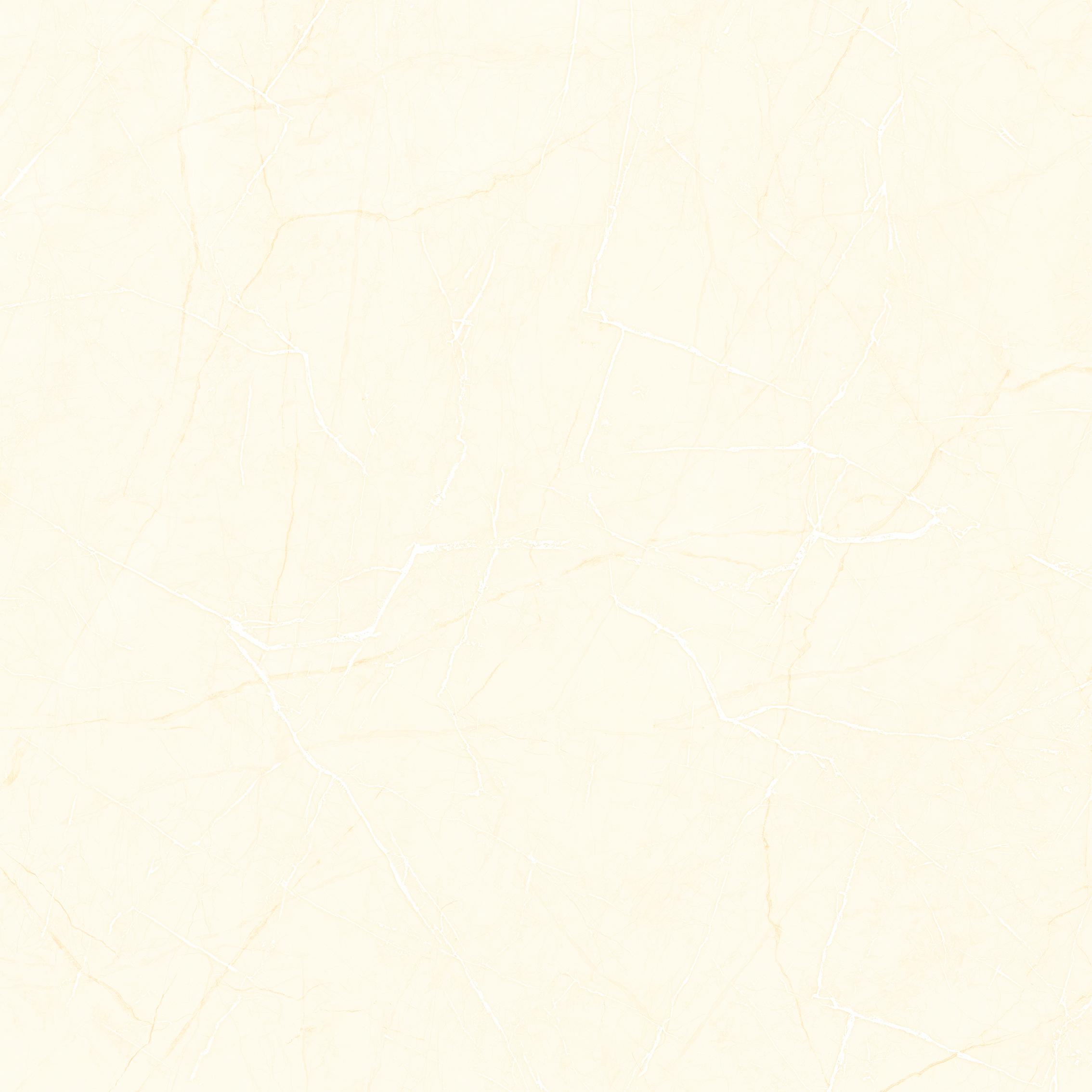 Porcelain tiles CZ8801