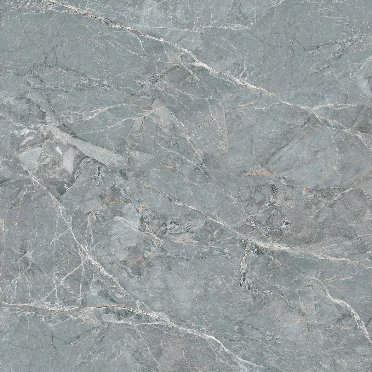 Porcelain tiles CZ8808