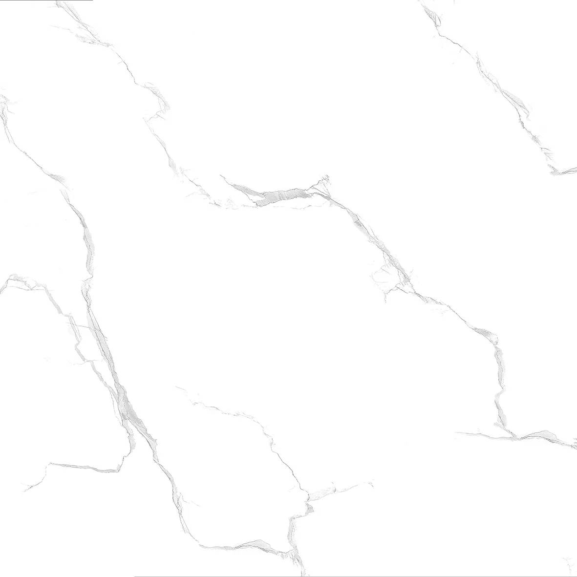 Porcelain tiles CZ8810